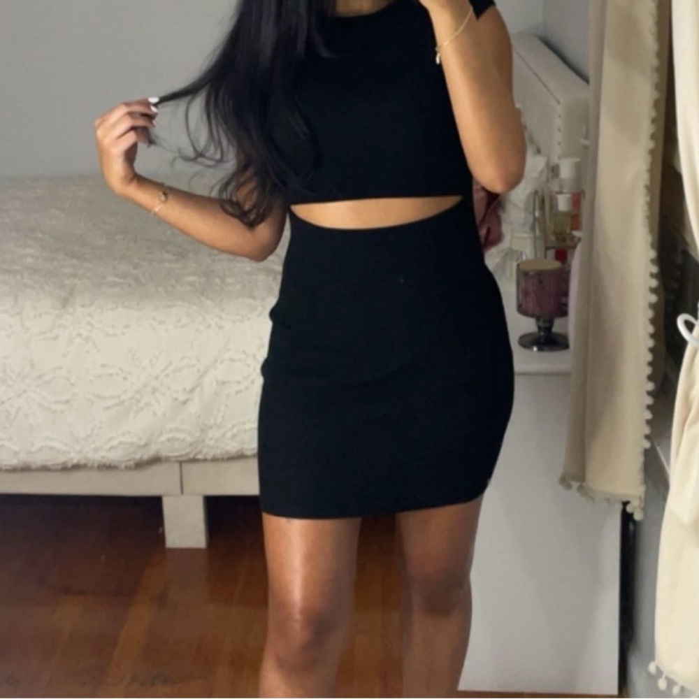 Aritzia babaton dress